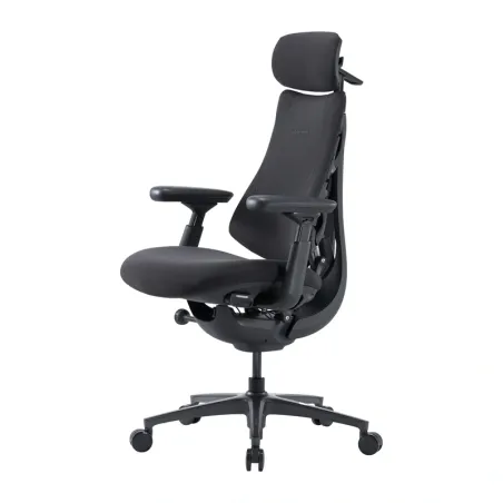 LiberNovo Omni Pro 45 cm Ergonomic Chair (Graphite)